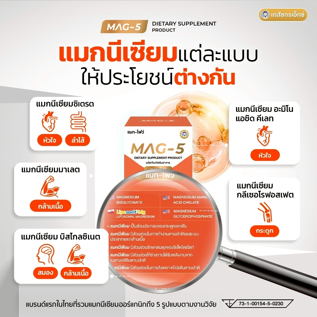 MAG-5 แมกนีเซียม 1 กระปุก - Image 7