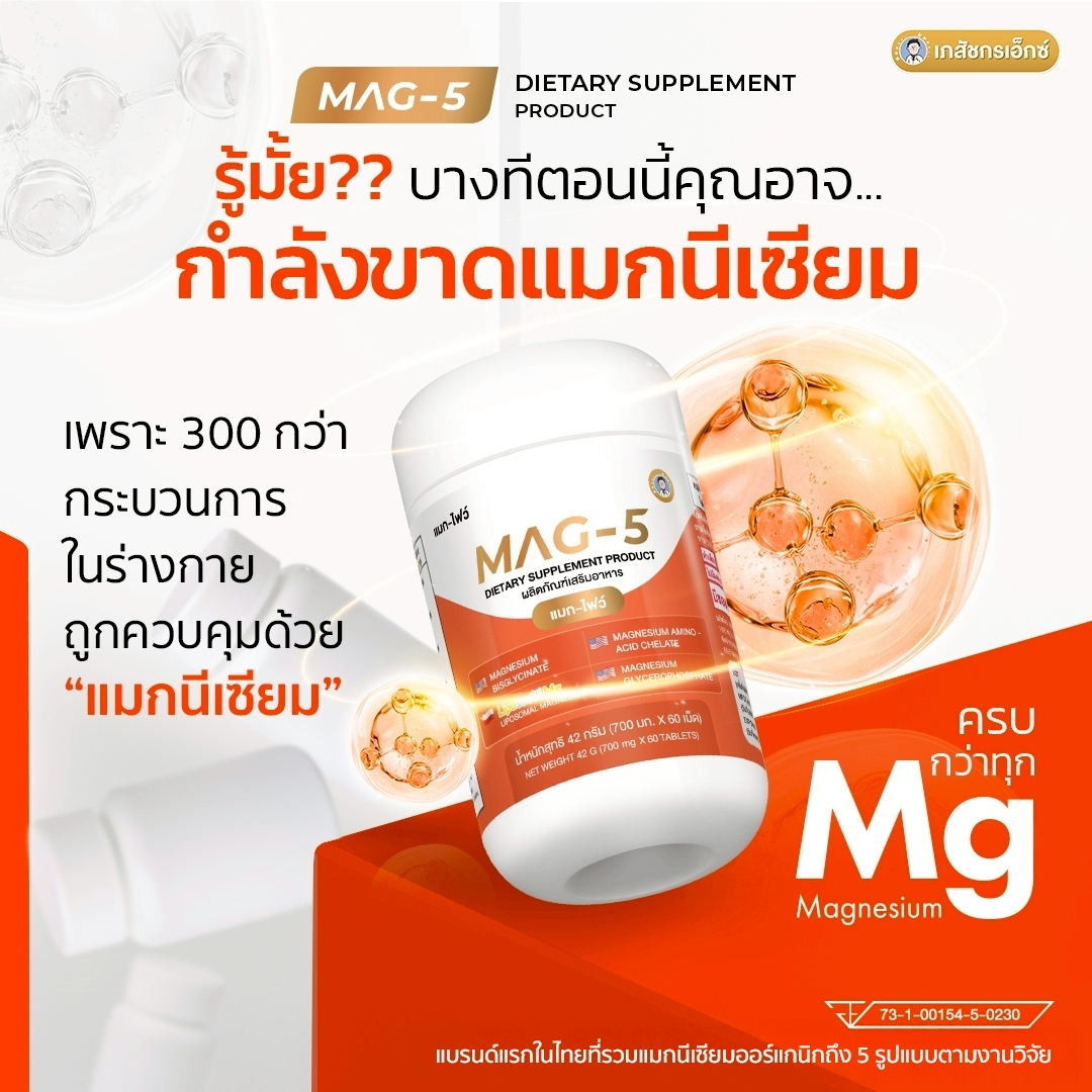 MAG-5 แมกนีเซียม 1 กระปุก - Image 4